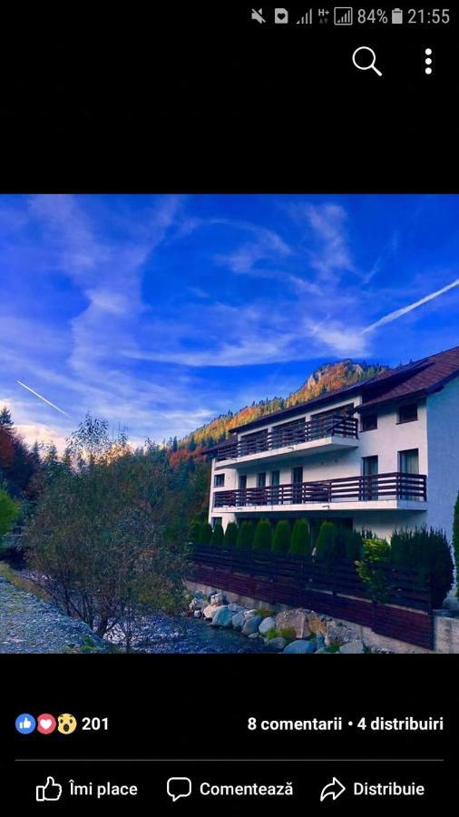 House Of River Moeciu De Sus Exterior foto
